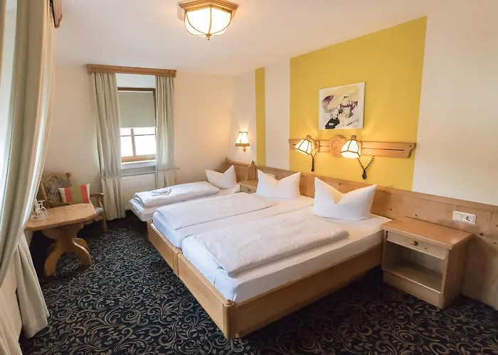 酒店 鲁汶酒店 3*