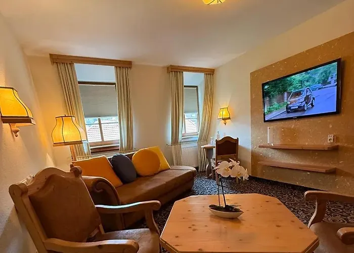 酒店 鲁汶酒店 3*