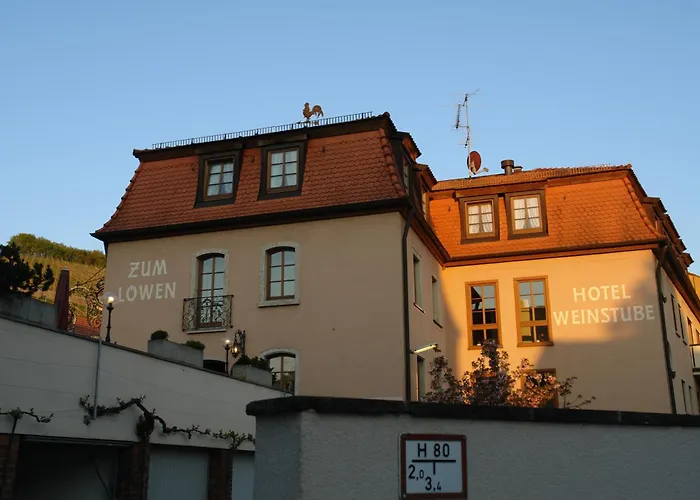 鲁汶酒店 酒店 3*