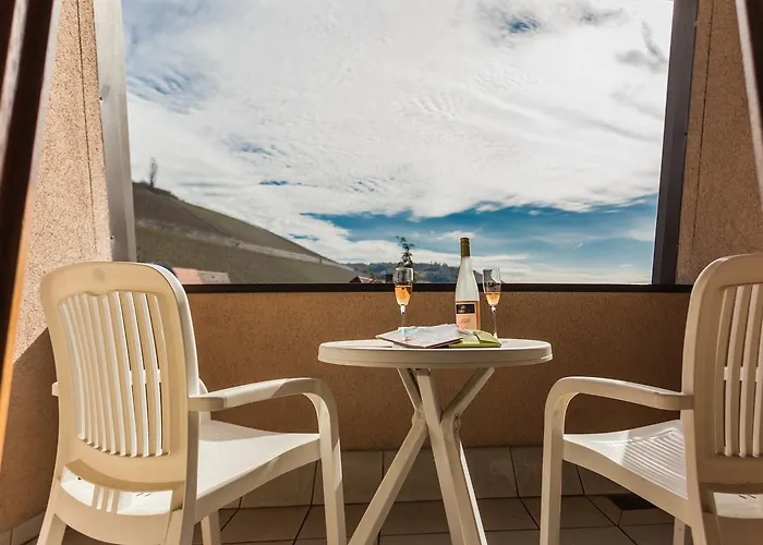 酒店 鲁汶酒店 3*