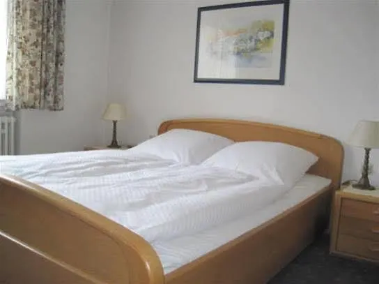 鲁汶酒店 酒店 3*